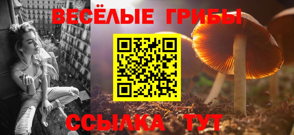 Каменск-Уральский  Псилоцибиновые грибы Magic Shrooms  Вход с VPN  Галлюциногенные грибы прущие грибы 