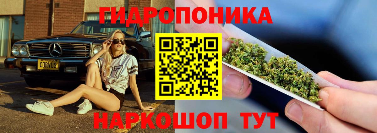 Марихуана семена  Конопля семена  Каменск-Уральский  Вход с VPN  Бошки Шишки Ganja  Шишки марихуана LSD WEED 